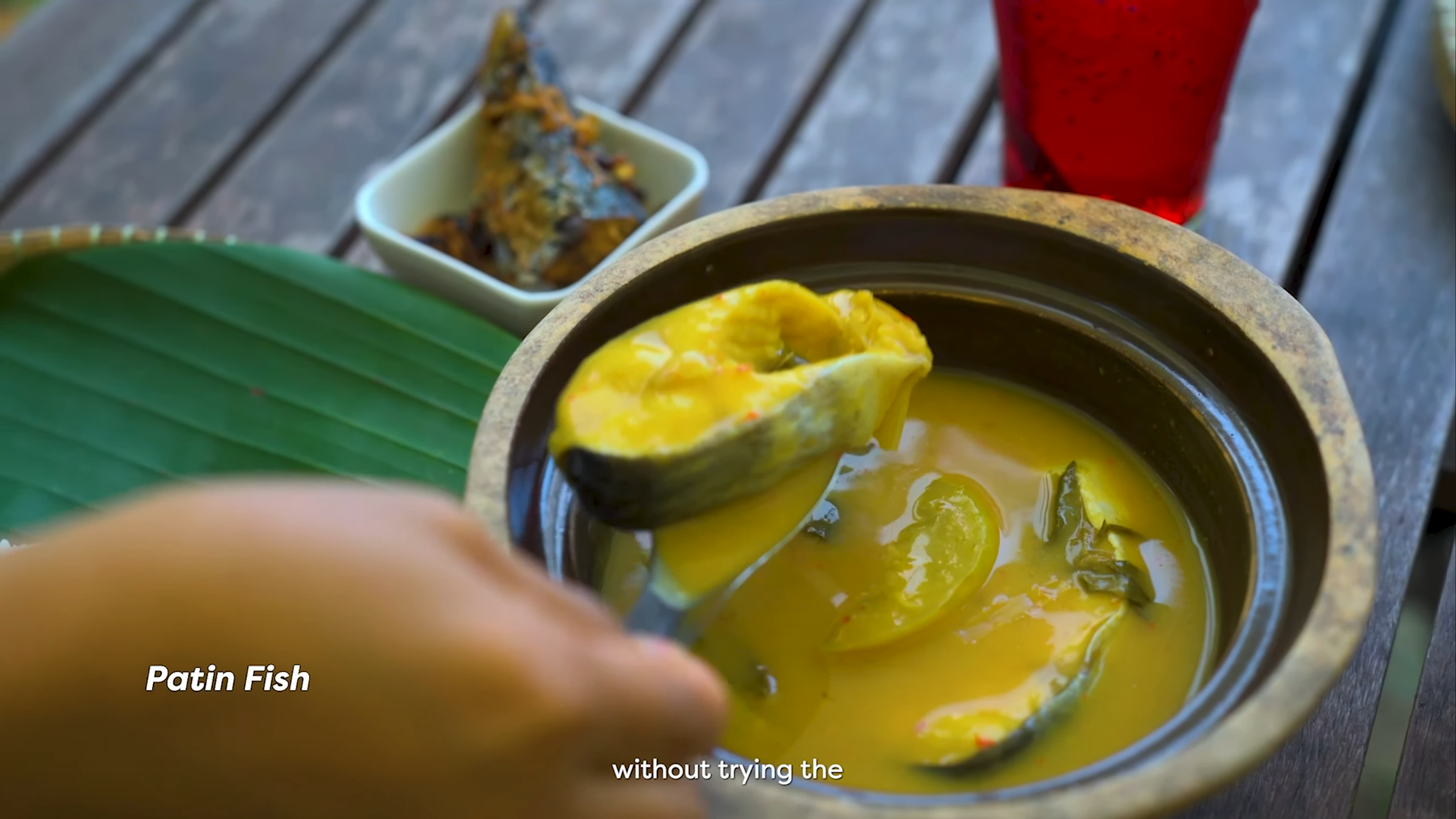 Patin Fish